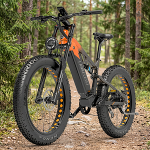 Vélo de route électrique industriel RV800 DIY, moteur Bafang 48V 750W, roues 26 x 4,0 pouces, batterie 20Ah, autonomie 120-150 km, vitesse maximale 52 km/h, garantie 3 ans - Product Image 2