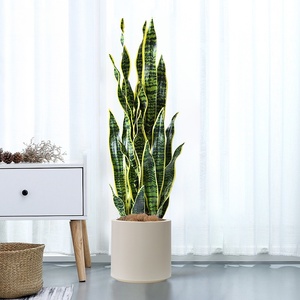 <span class=keywords><strong>Planta</strong></span> de serpiente de imitación Premium, Sansevieria artificial para decoración interior del hogar Suministro a granel - Product Image 1