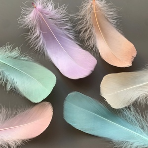 Plumas de Ganso Coloridas Medianas Flotantes para Manualidades, Joyería, Ropa, Atrapasueños, Bolas Decorativas, Relleno de Cajas de Regalo - Product Image 4