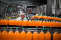 Complete Fruit Juice Production Line