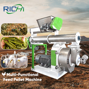 Machine à granulés d'aliments pour animaux RICHI, certification CE, 3-4t/h, machine à granulés d'herbe pour aliments pour bovins et chèvres - Product Image 1