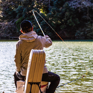 Canne à carpe Daiwa Qingjing série 22, action moyenne rapide, guides SIC, pour la pêche à Taïwan, rivières, lacs, réservoirs, étangs - Product Image 1