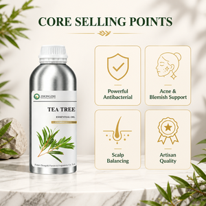 Agent antibactérien naturel Huile d'<span class=keywords><strong>arbre</strong></span> à thé (Melaleuca Alternifolia) pour la désinfection et la purification des surfaces - Product Image 3