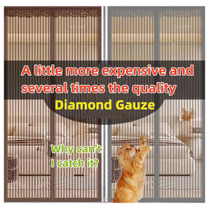 2025 Mùa Hè Mềm Ma Thuật Cửa Lưới Muỗi Lưới Thiết Kế Hiện Đại Phong Cách Từ Lưới Màn Hình Cửa Rèm Cho Muỗi - Product Image 2