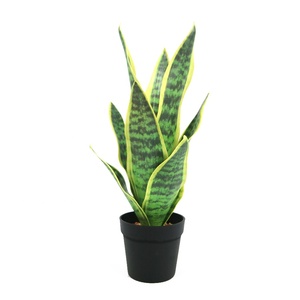 Venta al por Mayor <span class=keywords><strong>de</strong></span> Planta Artificial Mini <span class=keywords><strong>Sansevieria</strong></span> <span class=keywords><strong>de</strong></span> 9 Hojas y 38 cm <span class=keywords><strong>de</strong></span> Altura con Maceta <span class=keywords><strong>de</strong></span> Plástico - Product Image 5