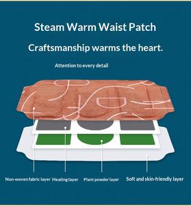 Parche <span class=keywords><strong>de</strong></span> Artemisia Personalizado <span class=keywords><strong>de</strong></span> Larga Duración, Calienta Suavemente la Cintura, Mejora la Columna Lumbar, Cuidado Corporal, Calor para la Cintura - Product Image 6