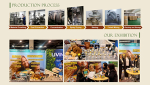 Healthife Высокое качество <span class=keywords><strong>Ganoderma</strong></span> Lucidum глюкан порошок экстракт грибов рейши 30% бета-глюкан - Product Image 3