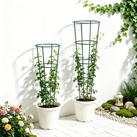 Support de plante en fer robuste et élégant, treillis peu encombrant, facile à assembler, pour jardin, patio, balcon, cour, vente en gros, usine, usage commercial