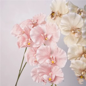 ดอกกล้วยไม้ฟาแลนนอปซิส 9 หัว ยี่ห้อ Haiyi ดอกไม้ประดิษฐ์จากผ้าไหม สำหรับตกแต่งงานแต่งงานและบ้าน - Product Image 2