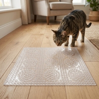 Plateau anti-chats en plastique PET écologique personnalisé en usine avec logo/design personnalisé, couleur et taille sur mesure pour la protection