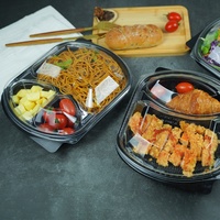 Microgolfbestendige wegwerpverpakkingen voor afhaalmaaltijden, groothandel, rechthoekige plastic saladeboxen, fruit- en vleescontainers