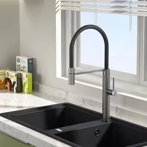 Tuyau flexible en silicone extractible robinets de robinet dorés pour robinet d'évier de cuisine avec pulvérisateur extractible