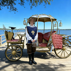 Arrivée d'une limousine de mariage et de tourisme, d'une calèche de style anglais, d'une calèche de prince, d'une calèche à chevaux, d'une calèche incroyable, d'un cabriolet, d'une caravane - Product Image 1