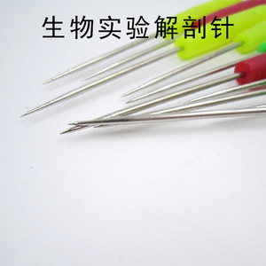 Agujas de disección, instrumentos didácticos para experimentos biológicos, agujas de disección biológica, sondas de acero inoxidable. - Product Image 3