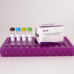 Kit de RT-PCR fluorescente de alta sensibilidad para la detección del virus de la encefalitis equina venezolana - Product Image 1