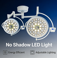 Lampe chirurgicale vétérinaire à double tête LED, type fleur, montée au plafond, sans ombre, pour salle d'opération, certifiée CE