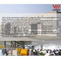 Usine en Chine Mini palan à chaîne électrique monophasé de qualité garantie pour les ateliers d'hôtel de détail 0.25Ton-1Ton New Metal
