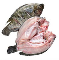 Machine à fileter les poissons et les poissons-étraviers XINBO XBF-228 380V, lames à dégagement rapide pour un remplacement facile, pour le Nigéria
