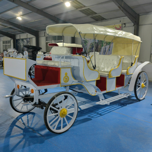Vehículo Eléctrico de Lujo Europeo 2024, Tipo Carruaje Real, de Fibra de Vidrio, para Turismo y Recreación al Aire Libre - Product Image 1