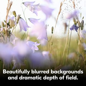 เลนส์ NIKKOR <span class=keywords><strong>Z</strong></span> <span class=keywords><strong>35</strong></span> มม. F/1.7 มาโคร - รูรับแสงกว้าง F1.7 เกลียวฟิลเตอร์ 52 มม. รองรับ APS-C/DX สำหรับกล้องมิเรอร์เลสซีรีส์ <span class=keywords><strong>Z</strong></span> ผลิตในประเทศจีน - Product Image 5