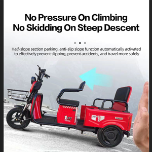 Triciclo Eléctrico de Carga para Fábrica, Bicicleta Eléctrica para Transporte de Pasajeros, Motocicleta Eléctrica de <span class=keywords><strong>3</strong></span> <span class=keywords><strong>Ruedas</strong></span> - Product Image 5