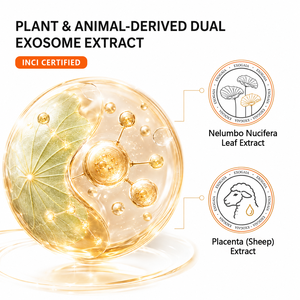 เซรั่มบำรุงผิวหน้าเรตินอล EXOGAIA ช่วยเติมความชุ่มชื้น ยกกระชับ ลดเลือนริ้วรอย ลดริ้วรอยเล็กๆ ฟื้นฟูผิวให้ยืดหยุ่น อิ่มฟู บำรุงผิว OEM ODM - Product Image 3