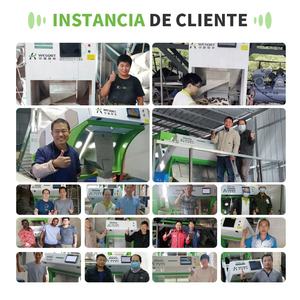 آلة فرز الأرز الملونة من ويسورت 2025، مدعومة عبر الإنترنت، معدات تصنيع الأغذية لتطبيقات مطاحن الدقيق في نيجيريا وأفريقيا - Product Image 5