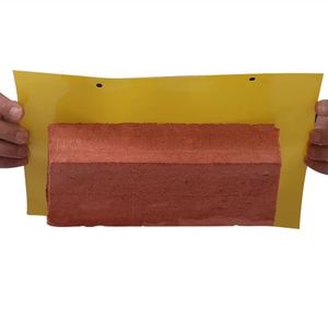 กับดัก<span class=keywords><strong>แมลง</strong></span>วันผลไม้กับดัก<span class=keywords><strong>แมลง</strong></span>วันเหนียวสีเหลืองสำหรับนักฆ่าแมลงพืชบินในร่ม/กลางแจ้งเช่น<span class=keywords><strong>แมลง</strong></span>กัดแทะเชื้อราแมลงหวี่ขาว<span class=keywords><strong>เพลี้ย</strong></span>อ่อน - Product Image 3