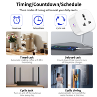Enchufe Inteligente WiFi Estándar Universal de 16A, Resistente al Fuego, Portátil, Certificado por CE, ROHS y FCC, 1 Año de Garantía, Control por Aplicación Tuya Smart Life