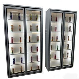 Porte vitrée réfrigérée pour supermarchés et épiceries, idéale pour l'affichage de glaces et de pizzas, avec un design ouvert pour un accès facile - Product Image 4