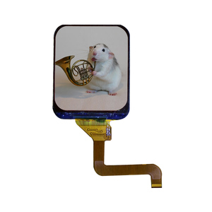 Nhà máy cung cấp TFT 240*280 pixel RGB Smartwatch <span class=keywords><strong>LCD</strong></span> hiển thị 1.69 inch - Product Image 5