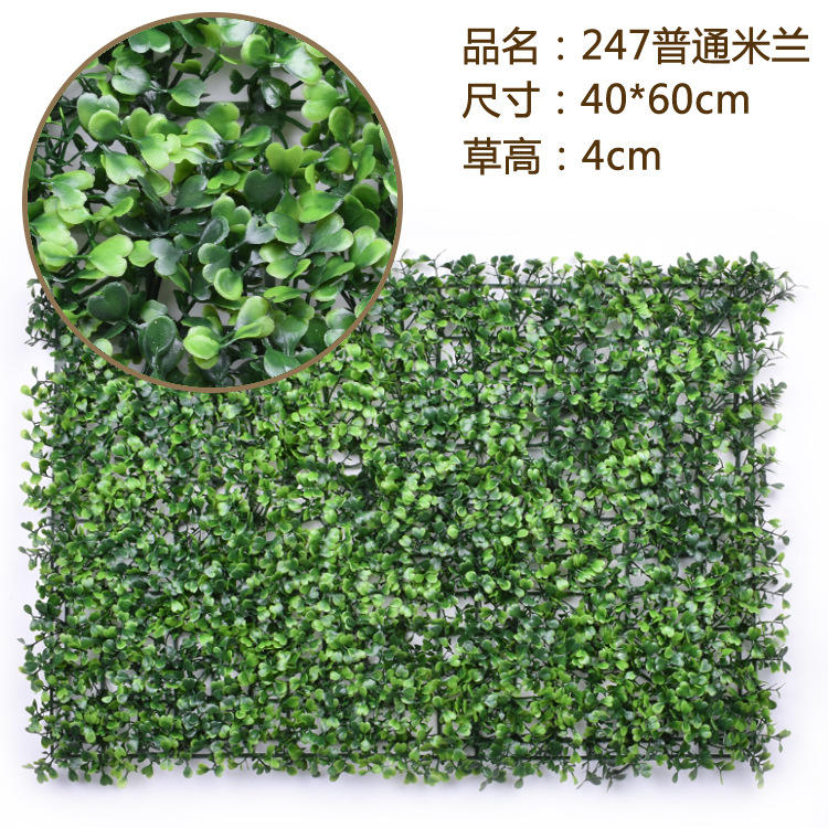 มิลานธรรมดา