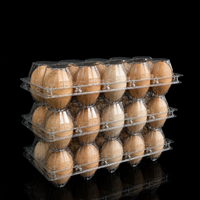Boîte à œufs en PET transparent à 10 compartiments, compatible avec les machines d'emballage d'œufs pour les fermes avicoles et les centres d'emballage OEM