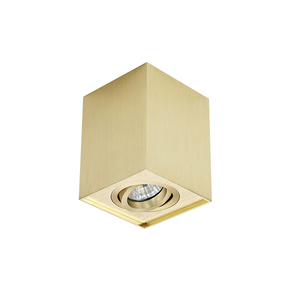 Trung quốc gia công chuyên nghiệp dịch vụ có thể điều chỉnh đèn downlight phụ kiện tuôn ra núi ánh sáng Trần - Product Image 6