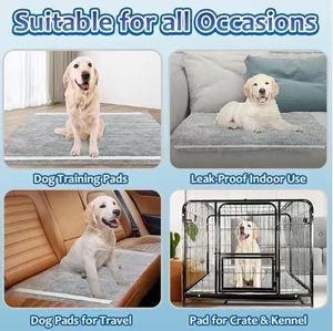 Vente en gros de tapis absorbants jetables écologiques au charbon de bois pour chiots, 6 couches, anti-fuites, en tissu et matériau PE, pour l'apprentissage de la propreté - Product Image 6