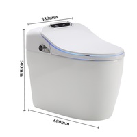 Toilettes électroniques et automatiques en céramique, 110/220V, articles de toilette intelligents, pour salle de bains, bidet électrique, siphon