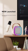 Amplificateur de musique radio karaoké avec microphone, haut-parleurs portables sans fil, haut-parleur Bluetooth karaoké