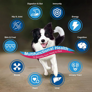 Suplemento Multivitamínico en Polvo 10 en 1 para Mascotas OEM, Apoya la Salud de las Articulaciones, la Piel, el Corazón y el Intestino con Glucosamina y Probióticos para Perros - Product Image 6