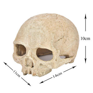 Décoration de crâne pour aquarium, statue de crâne en résine plastique servant de refuge pour araignées, scorpions, lézards, ornement de maison - Product Image 2