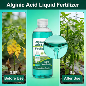 <span class=keywords><strong>Fertilizante</strong></span> de Ácido Alginico Personalizado <span class=keywords><strong>para</strong></span> CULTURAS/VERDURAS - Product Image 4