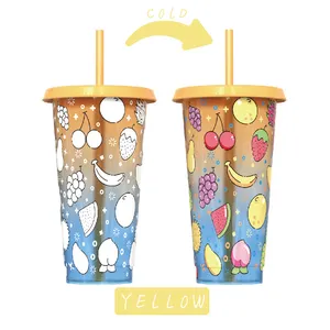 Custom Fruit Printed Water Color Changing Cold Glass Plastic Tumblers With Straw
