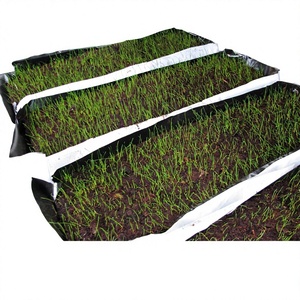 แผ่นพีทมอสอัดสำหรับจัดสวน ผลิตภัณฑ์ตกแต่งสวนคุณภาพสูง - Product Image 1