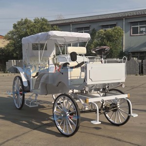 El Fabricante Vende Carruajes de Caballos Eléctricos de Lujo Europeos de Alta Calidad, Cómodos para Recorridos Turísticos - Product Image 1