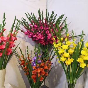 Nhà Máy Trực Tiếp Mô Phỏng Hoa Nhân Tạo Dài Thân Cây 120Cm Mềm Nhựa Gladiolus Hoa Lan Hoa Cho Đám Cưới Trang Trí - Product Image 1