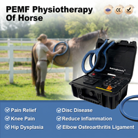 Appareil de stimulation magnétique pratique pour aider à la récupération musculaire des chevaux, réduit les spasmes musculaires, appareil PEMF pour clinique vétérinaire