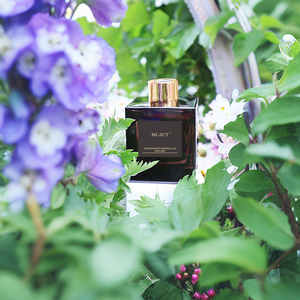 No Fire YOUNIKE PARFUM Parfum Floral Longue Durée 200ml Huile Essentielle de Plantes Aromathérapie Désodorisant Premium pour Chambre - Product Image 4