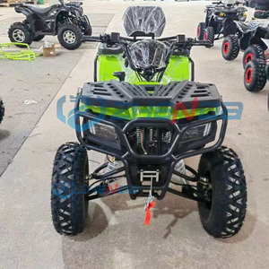 Vehículo utilitario 4x4 más vendido para uso en exteriores Mini Jeep Car Buggy resistente para trabajar y jugar - Product Image 3