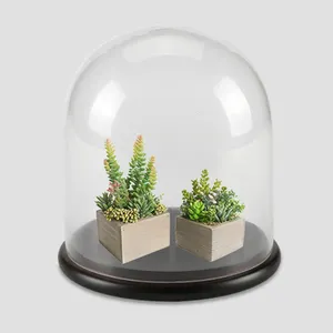 Bell Jar Factory Wholesale Clear Cheap Glass Dome Custom Glass With Wooden Base Home Decoration Nautical Flower Bowl 100 Blown