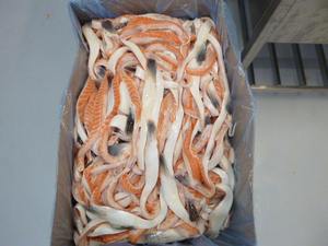 Bon <span class=keywords><strong>Prix</strong></span> Ventre <span class=keywords><strong>De</strong></span> <span class=keywords><strong>Saumon</strong></span> Atlantique Salmom Bavettes <span class=keywords><strong>De</strong></span> <span class=keywords><strong>Saumon</strong></span> Congelé Bely 1-3cm - Product Image 5