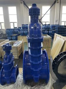 Vanne à opercule en fonte ductile DN <span class=keywords><strong>350</strong></span> PN10/16 DIN3203 F4 avec extrémité à bride et actionneur électrique - Product Image 2